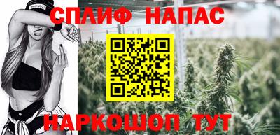 a pvp Будённовск
