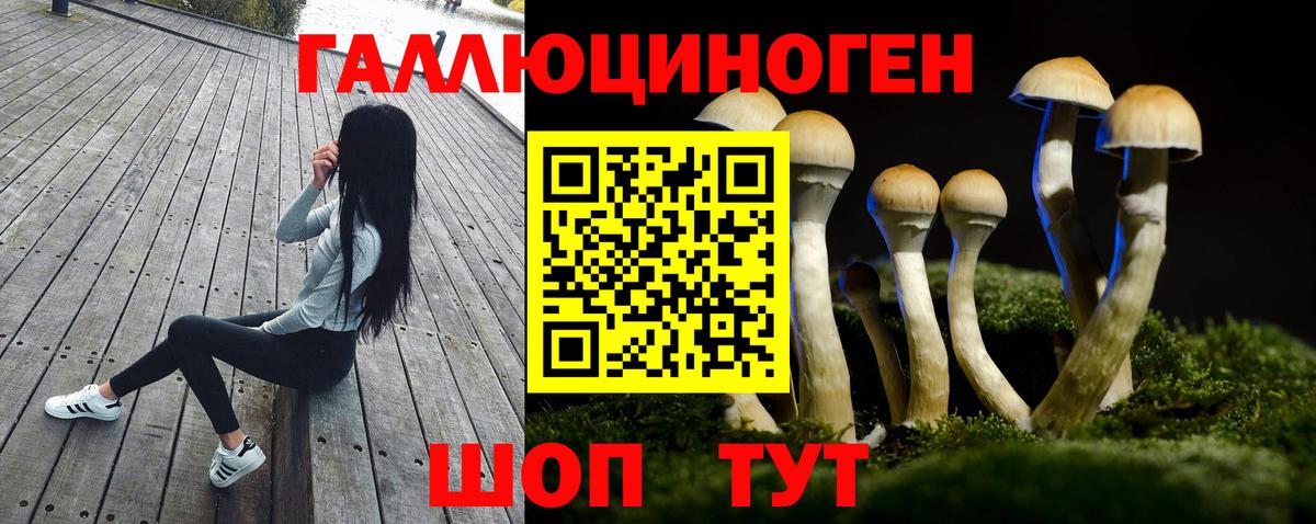 Сыктывкар  купить наркотик  Галлюциногенные грибы Psilocybine cubensis  Вход с VPN  Псилоцибиновые грибы Psilocybe 
