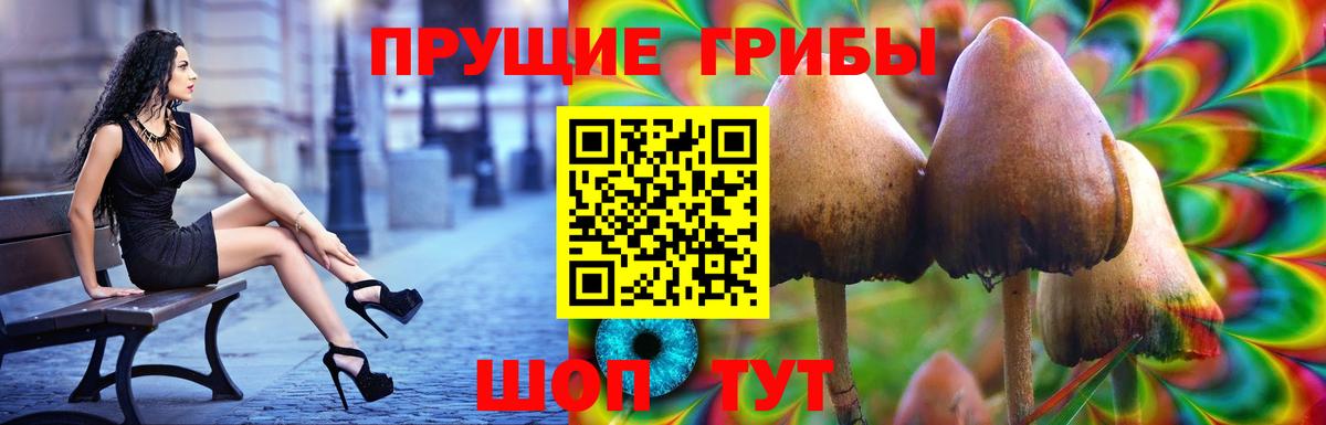 Галлюциногенные грибы прущие грибы Сыктывкар